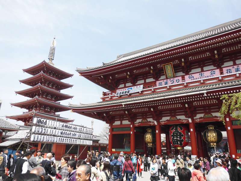 Tokyo Must-See Places One-Day Tour