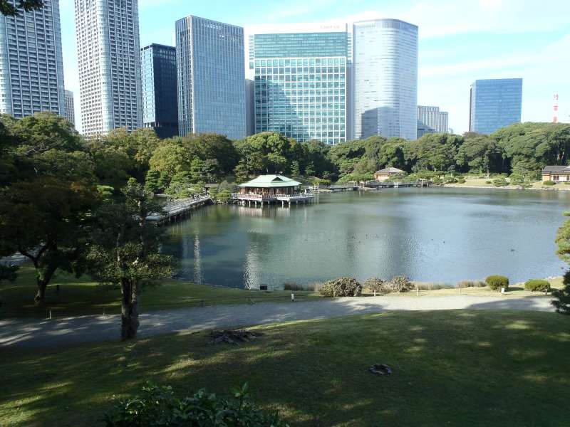 A One-Day Tokyo Tour