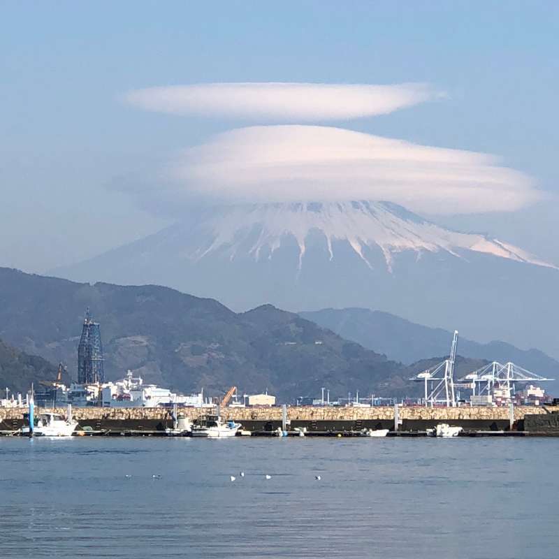 Enjoy Splended View Of Mt Fuji And Kunozan Toshogu Shrine Other Shizuoka Locations Private Tours Gowithguide