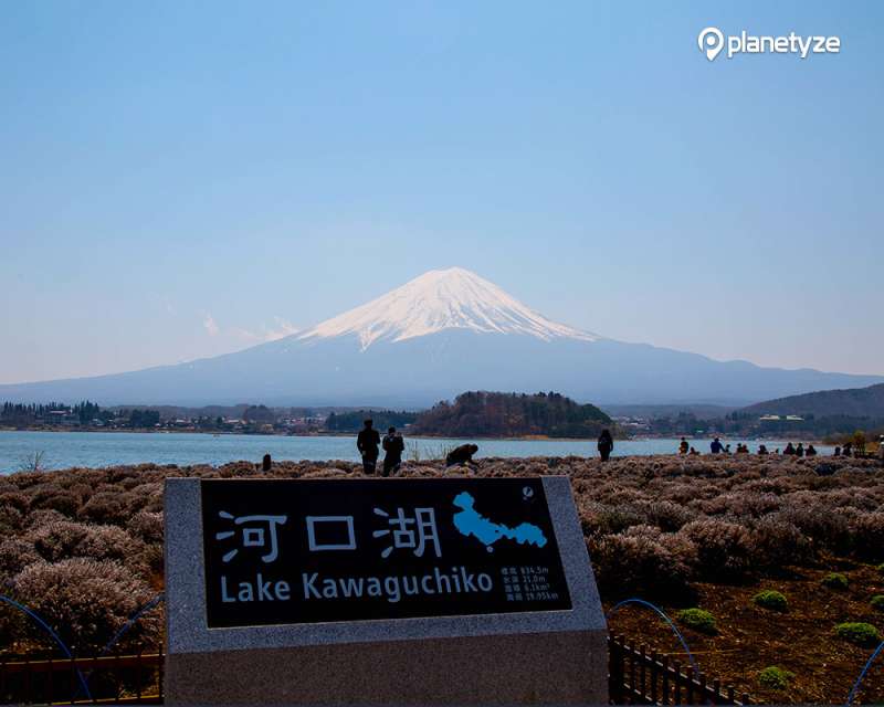 Lake Kawaguchico & Mt.Fuji 