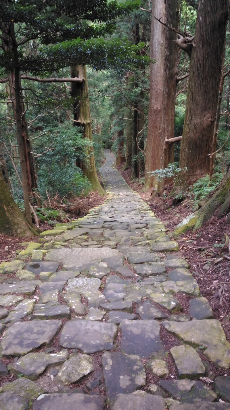 Visit Daimonzaka Nachi Taisha Seigantoji Nachi Waterfall Kumano Private Tours Gowithguide