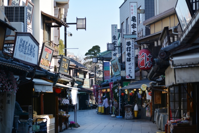 Tokyo: Full-Day Customizable Private Tour with Driver