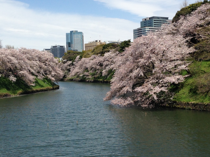 First Time In Tokyo One Day Tour Covering Major Spots Of Tokyo Tokyo Private Tours Gowithguide