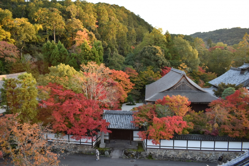 Contemplar Hojas Otonaes En El Paseo Del Filosofo Kyoto Private Tours Gowithguide