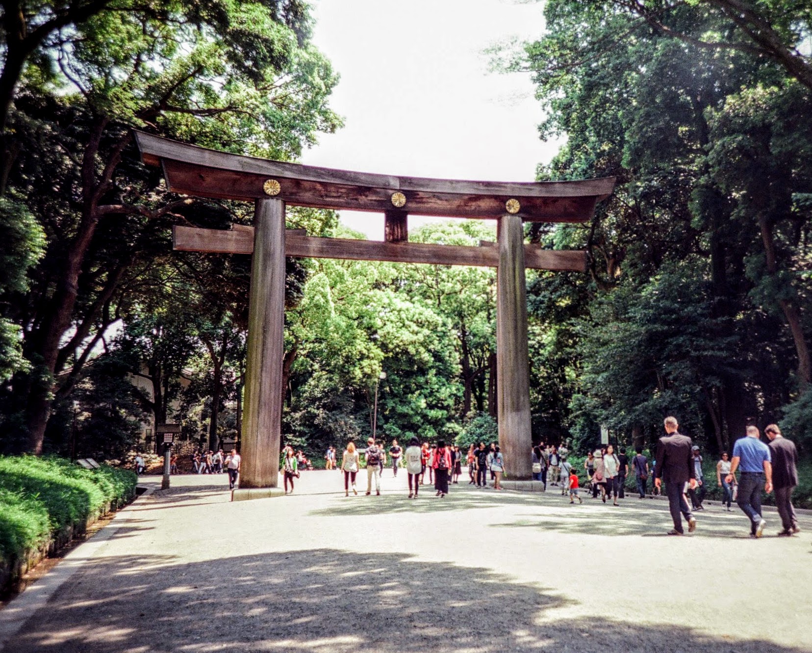 Meiji Shrine Tokyo