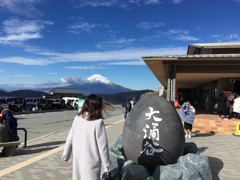 Hakone and Mt Fuji tour with a private van. - Hakone Private Tours |  GoWithGuide