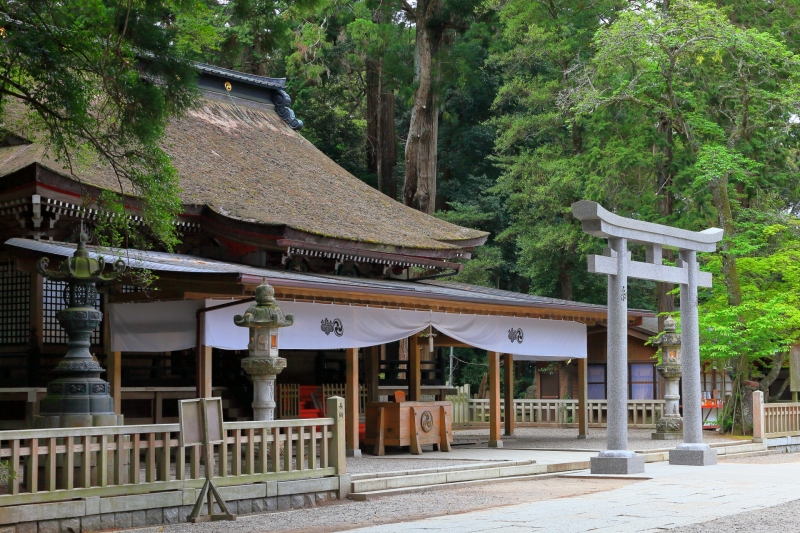 Famous shrines (Power spots) Private Tour with Driver