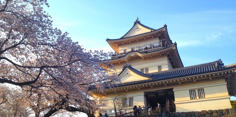 Odawara Castle, Lake Ashi & Hot Spring Private Tour
