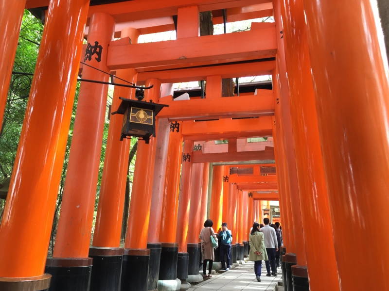 Kyoto 6 Hour Tour Fushimi Inari Arashiyama Kinkakuji Kyoto Private Tours Gowithguide