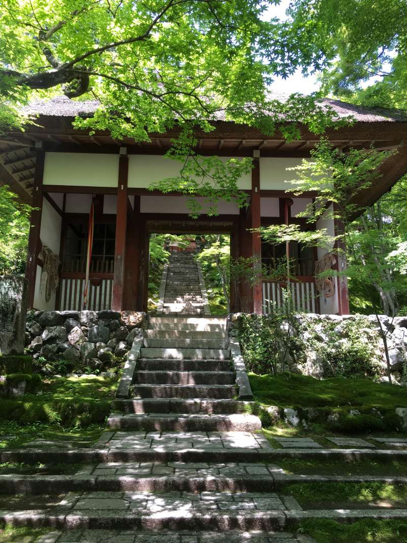 Jojakko-ji Temple 