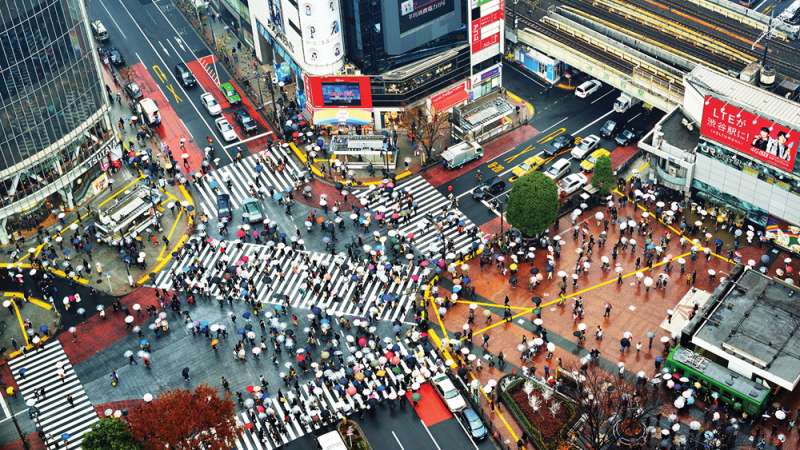 Must-see in Tokyo: Tsukiji, Meiji Jingu, Shibuya Crossing
