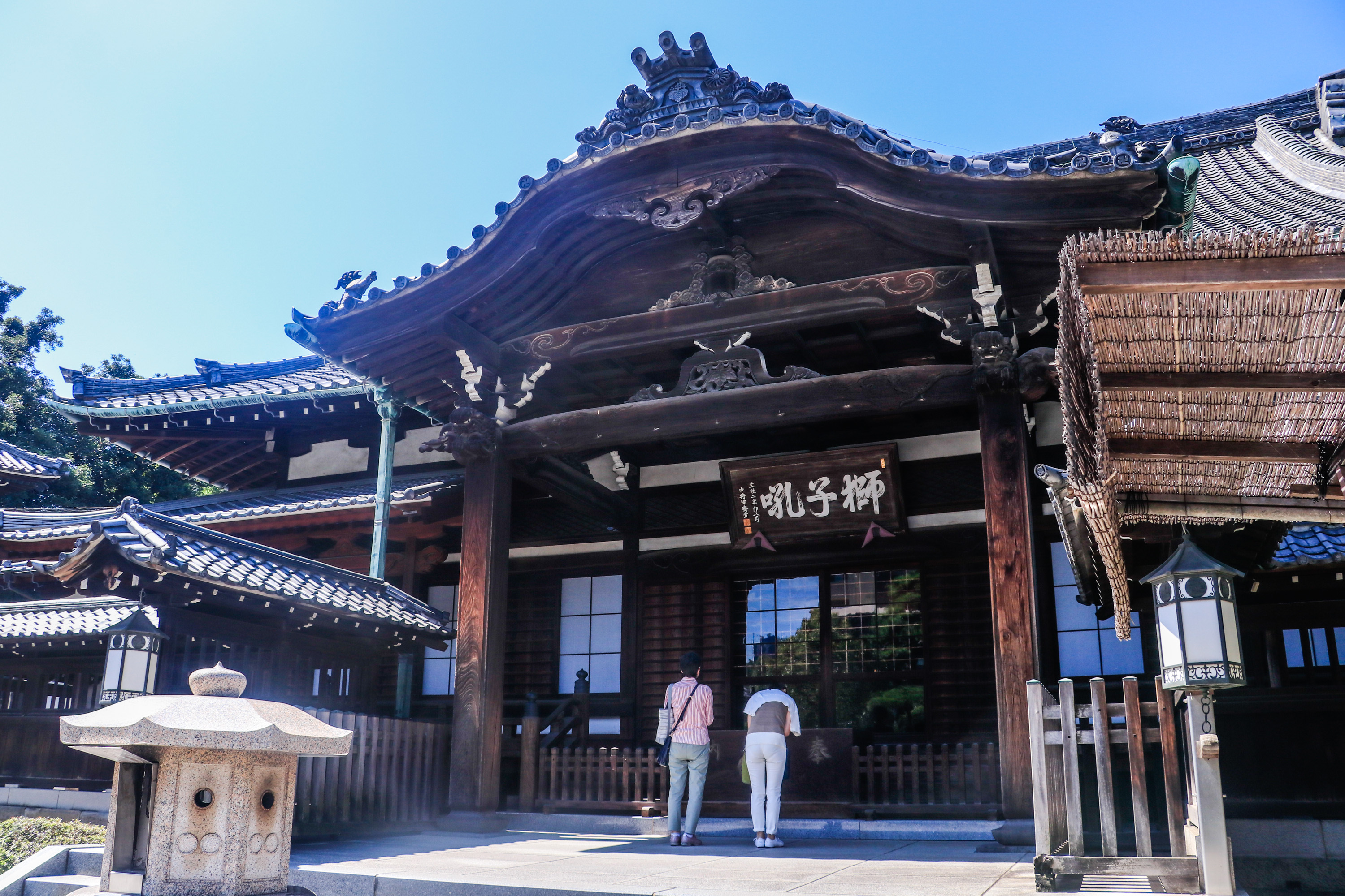 blog image