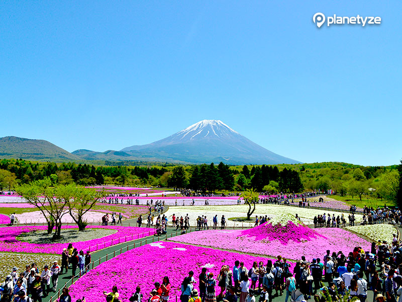 Top 10 Mt. Fuji Things to Do