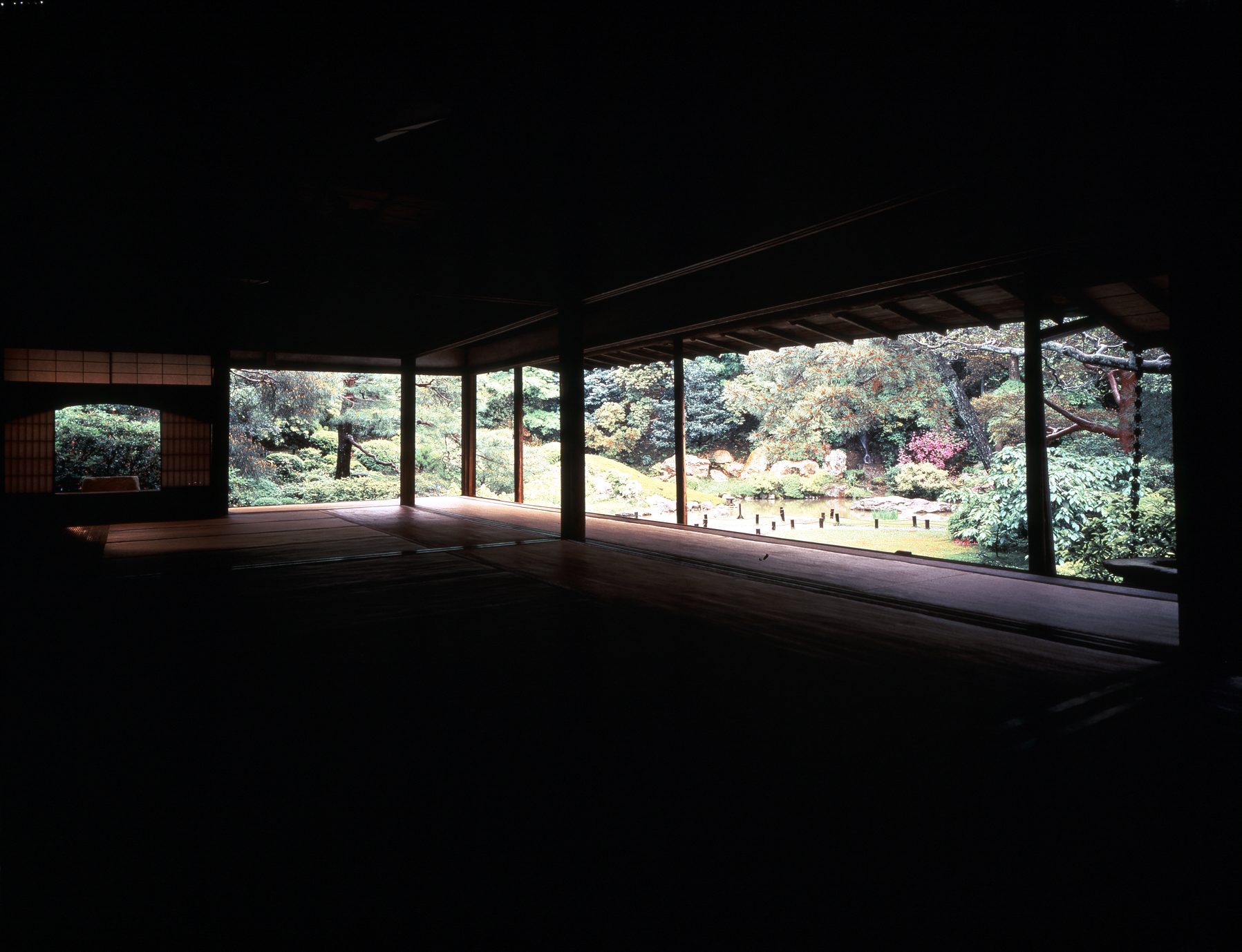 blog image