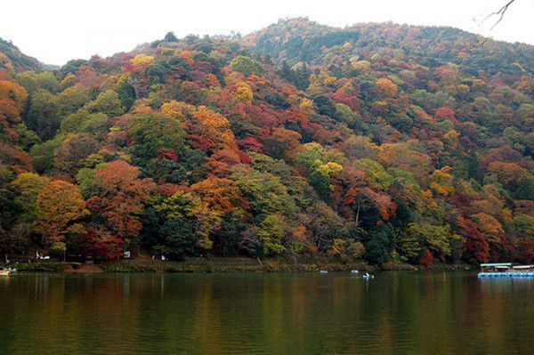 Best Spots to View Autumn Leaves in Japan | TripleLights